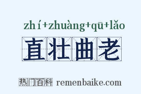 直壮曲老是什么意思的图片